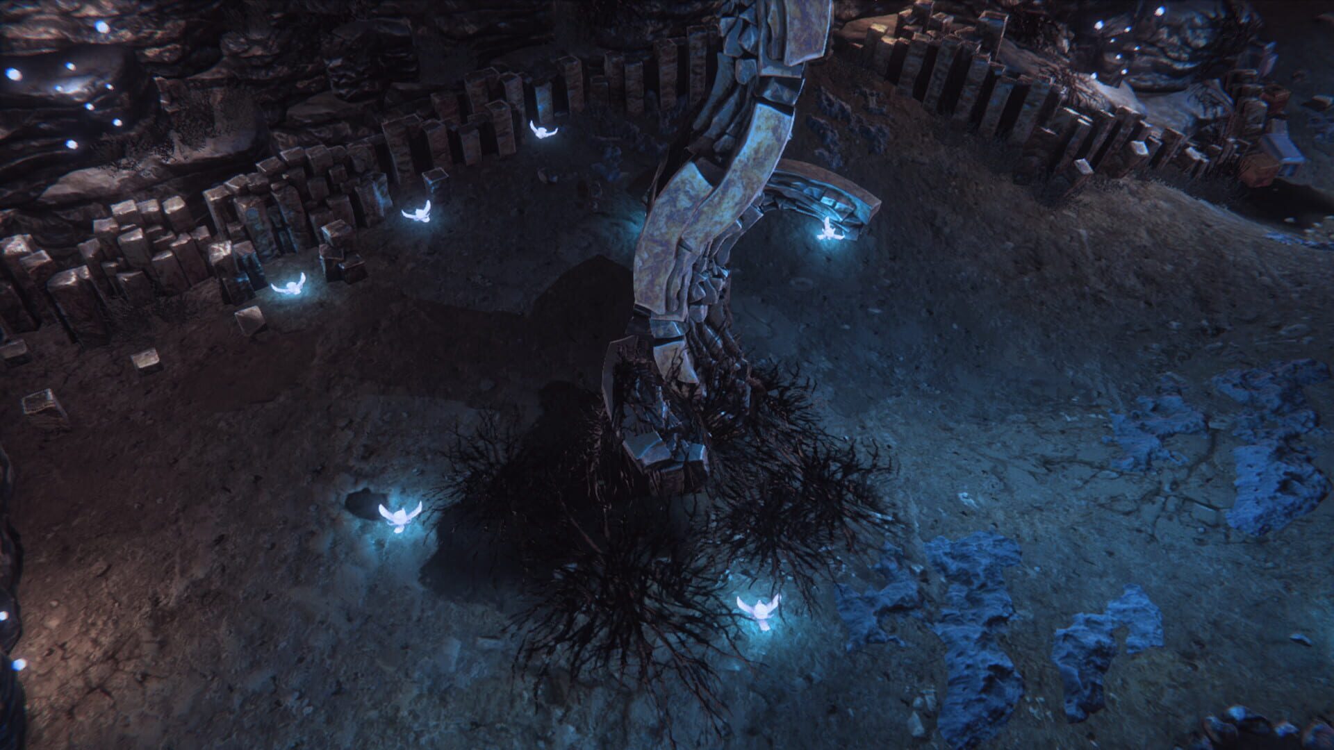 Encased header image