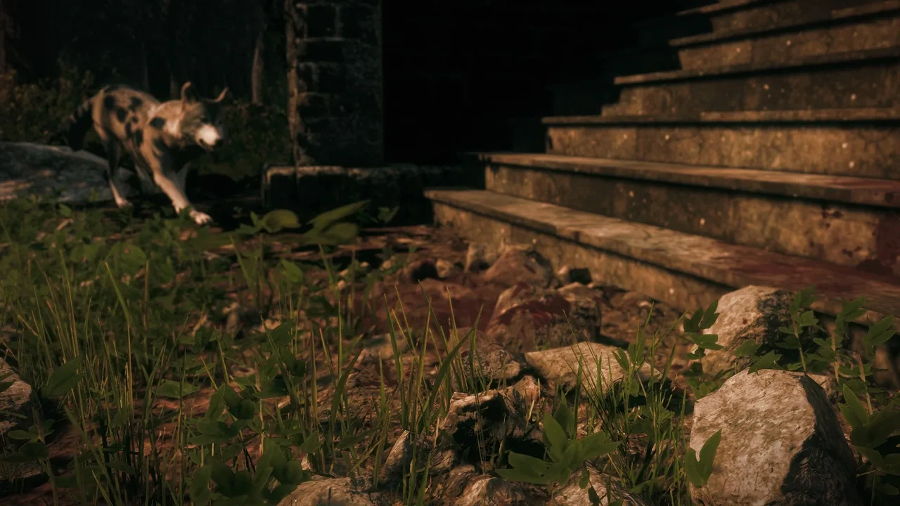 Maid of Sker header image