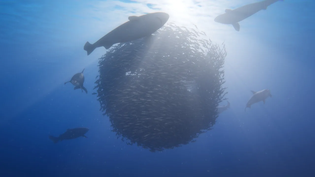 Beyond Blue header image