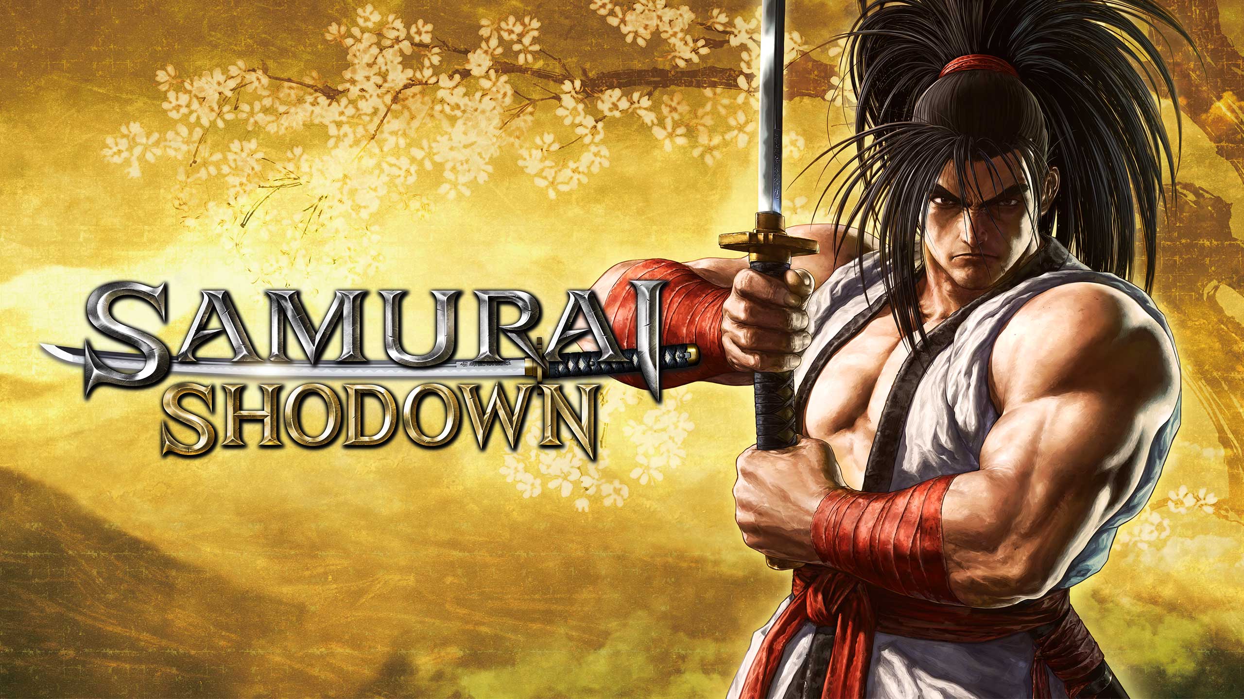 Samurai Shodown header image