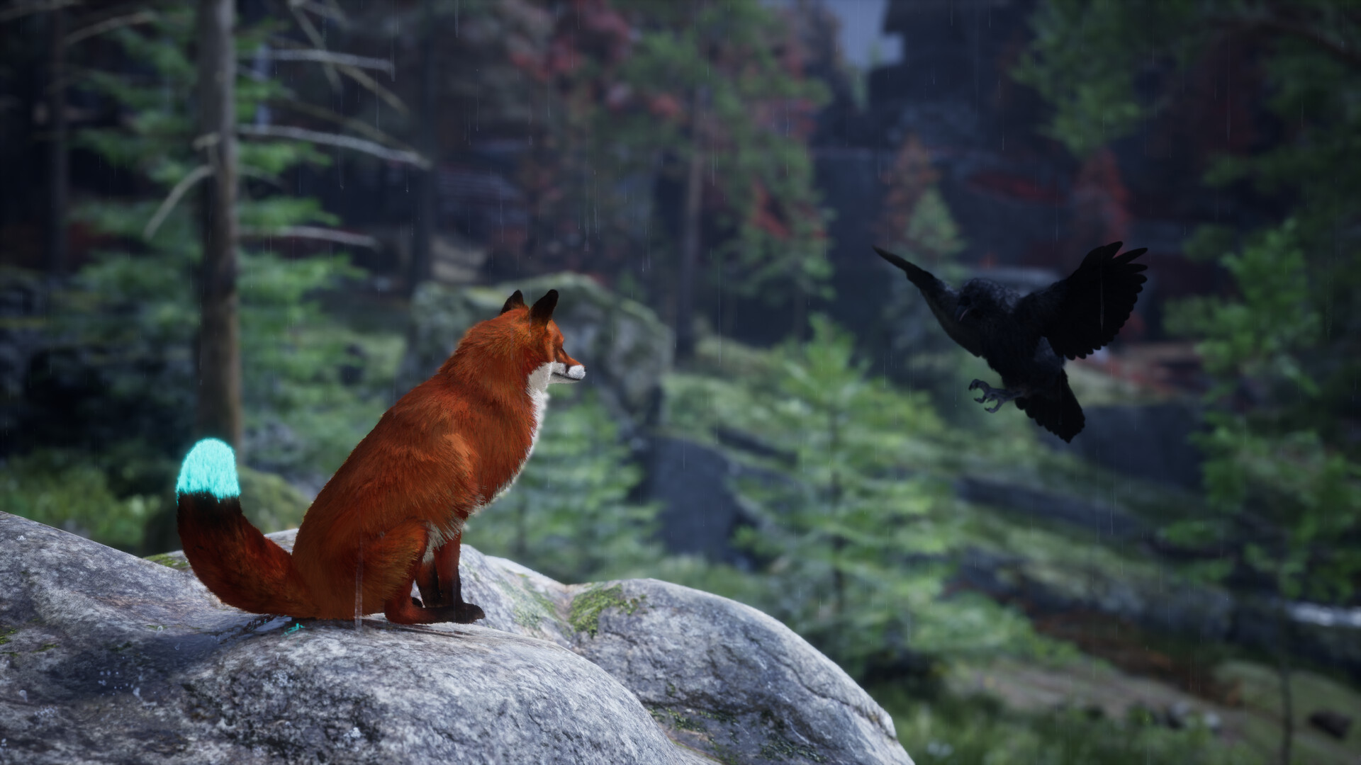 Spirit of the North 2 header image