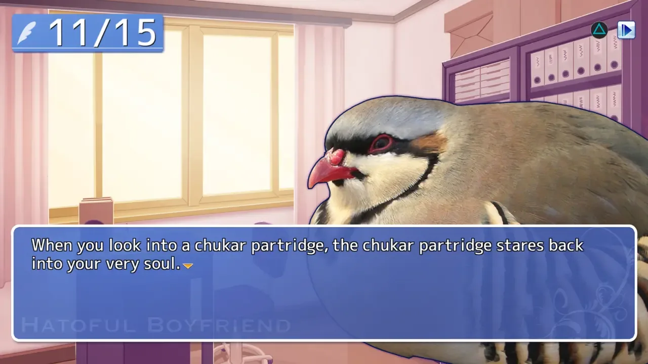 Hatoful Boyfriend header image