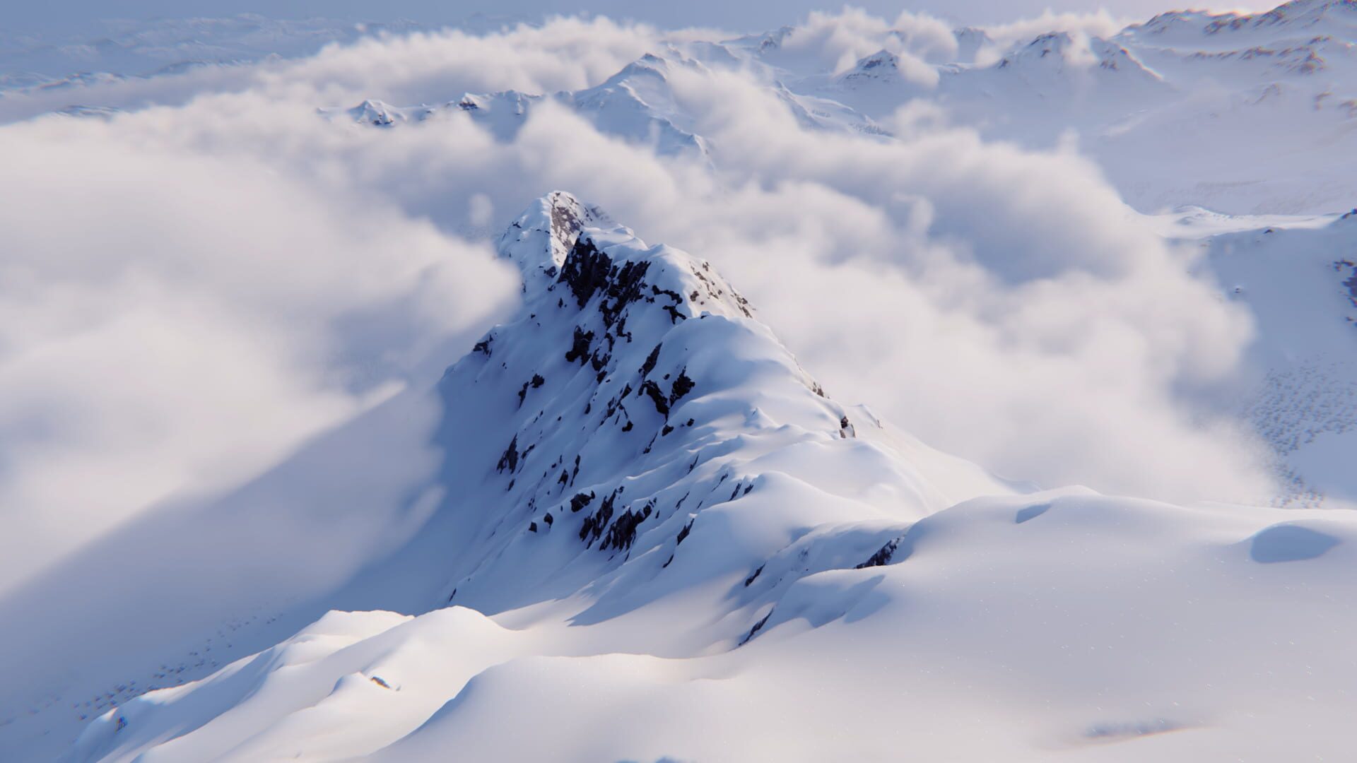 Shredders header image