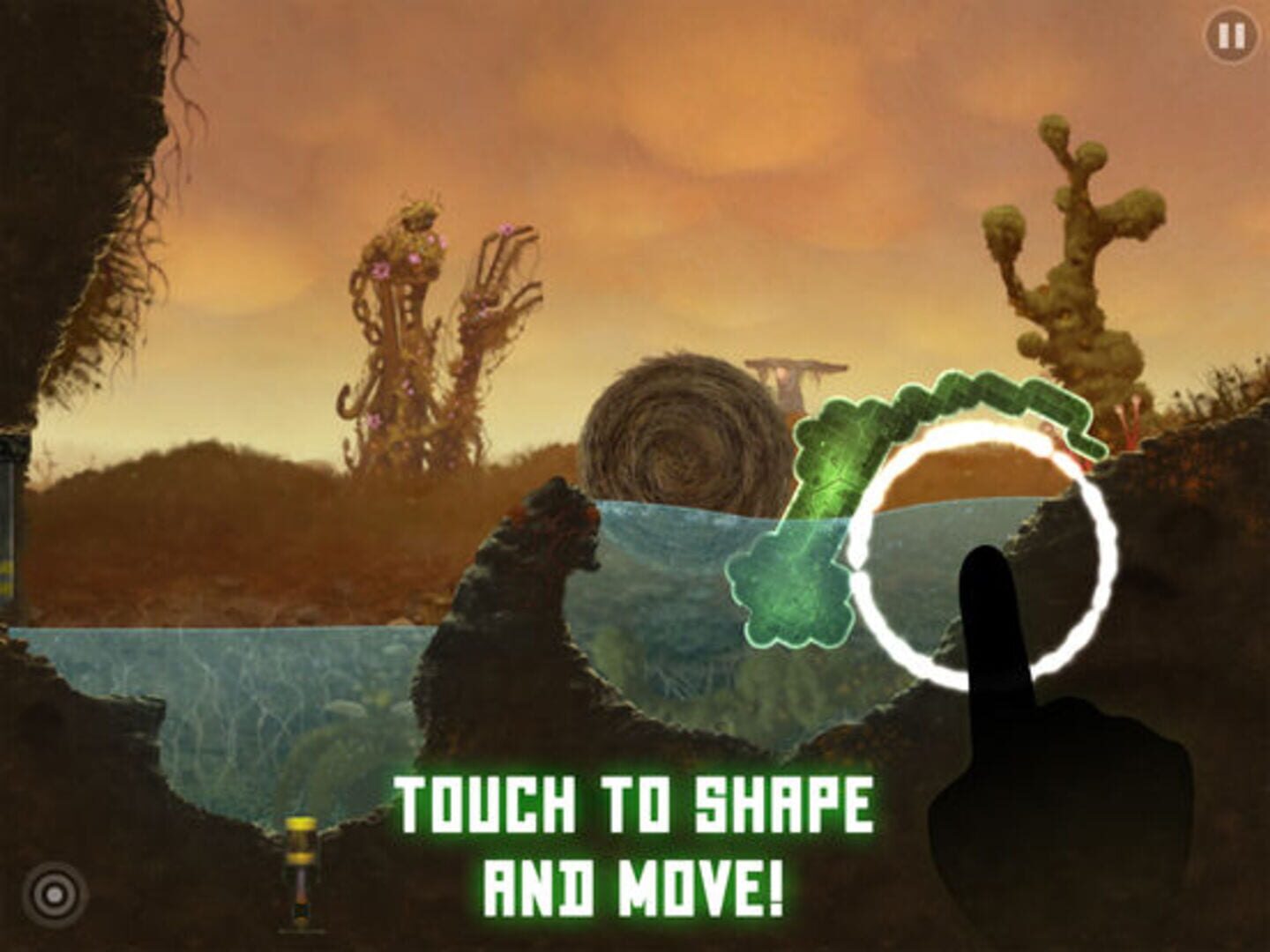 Mushroom 11 header image