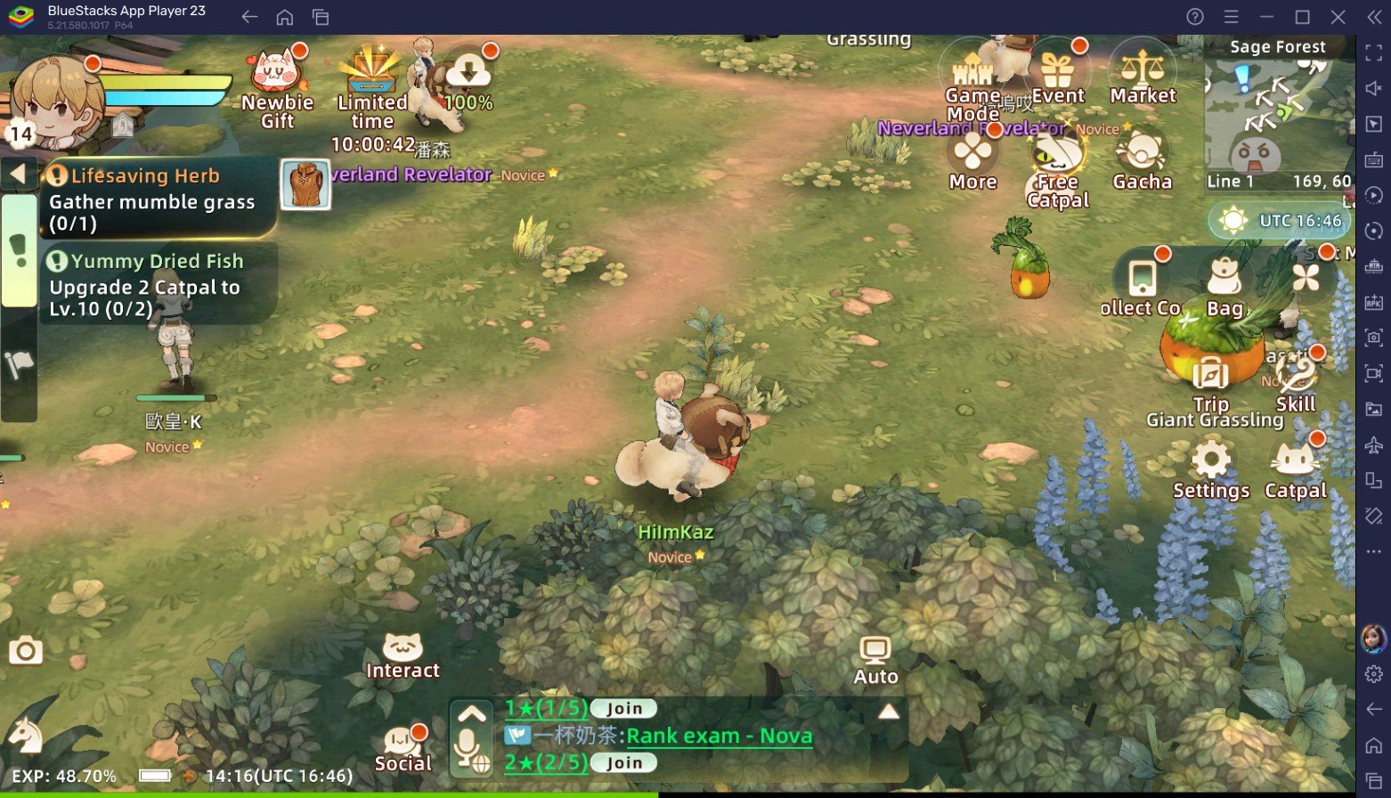 Tree of Savior header image