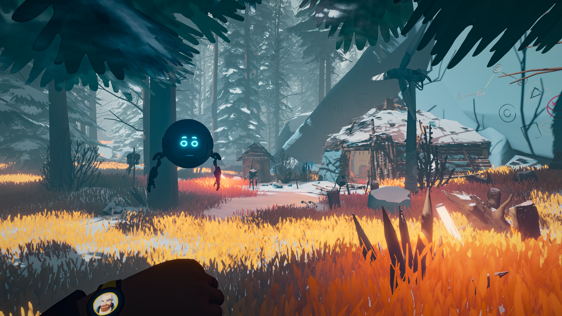 Arctic Awakening header image