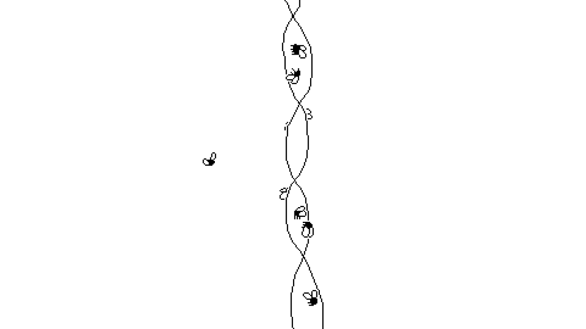 Time Flies header image