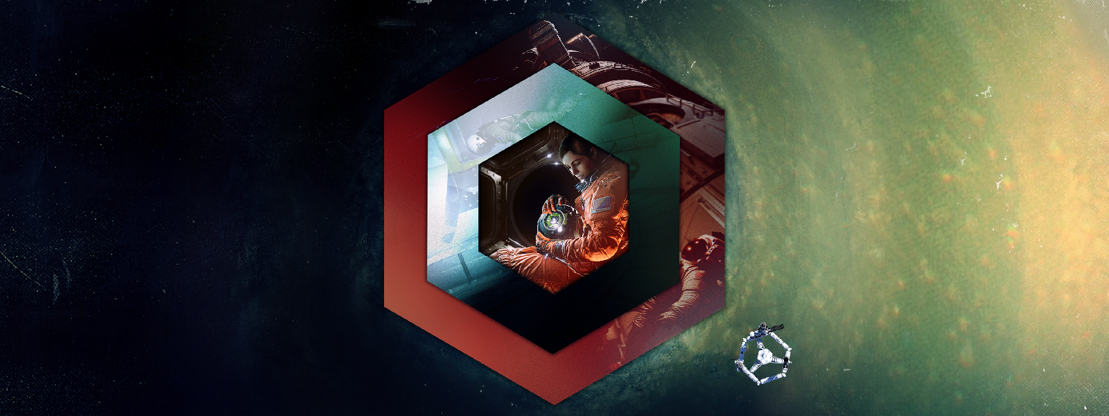 Observation header image